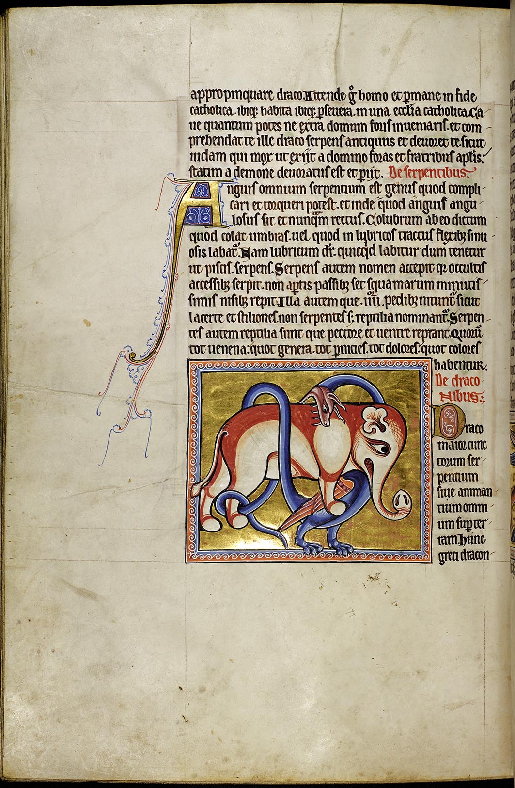 An illuminated miniature on a gold ground: a red dragon coiled about the legs of a grey elephant, set into a page of Latin text.